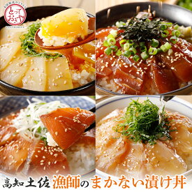 漁師のまかない漬け丼の素 4種8食 海鮮丼 漬け丼 丼の具 どんぶりの具 海鮮丼セット 漁師飯 漁師 めし 海鮮漬け づけ丼 海鮮丼の具 冷凍 マグロ ブリ タイ 鯛 イカ 海鮮グルメ 漬け丼セット お取り寄せ 海の幸 海鮮丼ギフト 冷凍海鮮丼