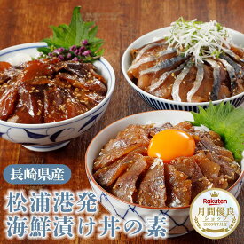 【300円OFFクーポン！】長崎県松浦漁港発 海鮮漬け丼の素 3種 6食 海鮮漬け丼 漬け丼の具 漬け丼 丼の具 冷凍食品 どんぶりの具 海鮮丼セット 海鮮漬け 海鮮丼の具 冷凍 長崎 松浦 あじ ぶり さば 漬け魚 漬け 刺身 海鮮グルメ 漬け丼セット お取り寄せ