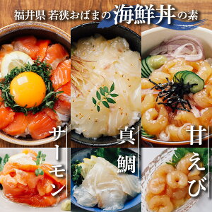 yő500~OFFN[|Iz䌧ዷ΂܂̊CN̑f 3 6H T[ }_C ÊCV lߍ킹 Zbg CN̋ CNZbg CNZbg ⓀCN ⓀH k CN ǂԂ