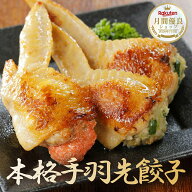 手羽先餃子 手羽明太 本格手羽餃子 骨抜き 1.1kg 手羽先 餃子 明太子 手羽餃子 取り寄せ お取り寄せ 明太…