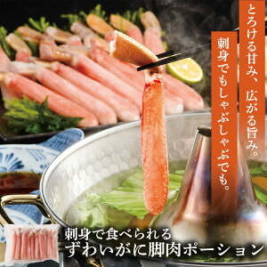 yB500|CgIzhgŐHׂ邸킢Ƀ|[V Jj |[V hg hg H  Ԃ  CN Jj|[V Ƀ|[V 킢 YCKj 