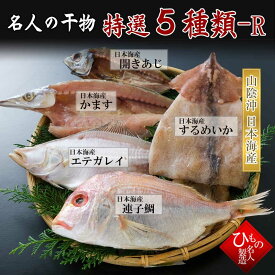 山陰一夜干し 5種詰合-R 【 1～4名様向け 】干物 詰め合わせ 連子鯛 入り ひもの 干物ギフト 【 お祝い お礼】 感謝の 干物セット お取り寄せグルメ 送料無料※北海道・沖縄は別途送料1000円お願いします。