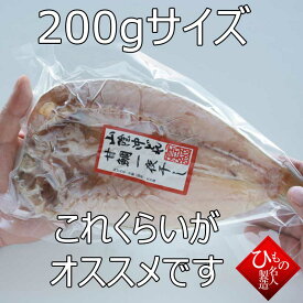 単品 甘鯛 干物 1尾 アマダイ ぐじ ひもの お取り寄せグルメ 山陰沖日本海産（鳥取県・島根県産）【 お礼 】【 お祝い 】
