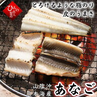 特大サイズ あなご 干物 山陰沖日本海産（島根県産）
