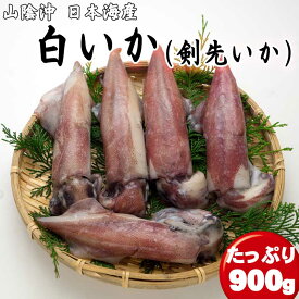 冷凍 白いか 900g 【4～5杯】 天然 ケンサキイカ 産地直送 白イカ シロイカ 剣先イカ 日本海 山陰 お取り寄せグルメ 送料無料※北海道・沖縄は別途送料1000円お願いします。