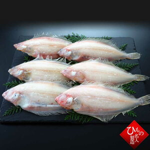 RA銱 ꂢ ( Ȃꂢ )  lߍ킹 5`6 Mtg Ђ́y j zӂ̊Zbg񂹃O kCE͕ʓr1000~肢