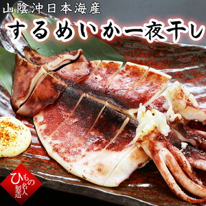 Pi ߂  1 銱 RA{CYi挧EYj  G  y  j z