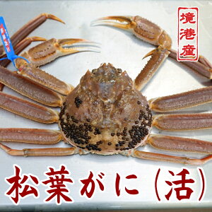 w\łB tKji킢Ɂj 600gE800gyz`Y@ kCEɂ͂͂ł܂BV[Y35܂