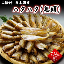 【残りわずかです】ハタハタ ヘッドレス 無頭 はたはた小 山陰沖日本海産（鳥取県・島根県産）干物　送料無料 ※北海道・沖縄は別途送料1000円お願いします。