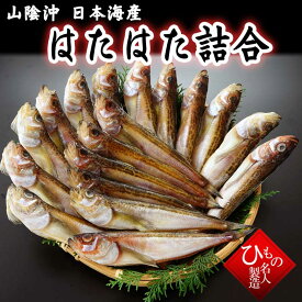 はたはた 干物 900g（21～26尾) ひもの 詰め合わせ 送料無料 干物ギフト お取り寄せグルメ 【 お礼 】【 お祝い 】 感謝の干物セット