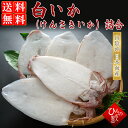 山陰一夜干し 白いか 詰め合わせ (4～6枚) ( ケンサキイカ ）干物 ひもの ギフト お取り寄せグルメ 【 お祝い お礼】感謝の干物セット 送料無料※北海道・沖縄は別途送料1000円お願いします。