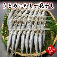 山陰一夜干し うるめいわし 干物 詰め合わせ　送料無料 ひもの 干物ギフト お取り寄せグルメ 【 お祝い …