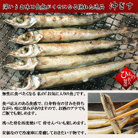 ��ʪ�ʤҤ�Ρ˥��åȵͤ��碌����̵��������(�ˤ���)�ͤ��碌