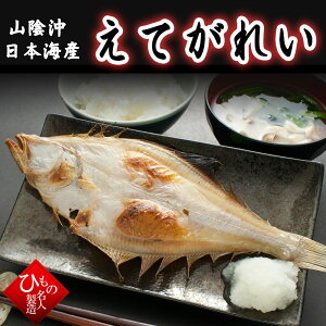 Pi Ăꂢ  1 @JC 񂹃O Ђ RA{CYi挧EYjy  zy j z