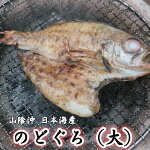 �Τɤ����ʥ�����ġ��紳ʪ��ñ�ʡ˻��������ܳ�����Ļ�踩���纬������