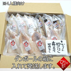 RA銱 4l-R y 1`4l z lߍ킹 Aq  Ђ Mtg y j zӂ̊Zbg 񂹃O kCE͕ʓr1000~