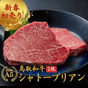 初売り お年賀 当日発送 内祝い 誕生日 ゴルフコンペ お祝い 【和牛 シャトーブリアン ヒレステーキA5 鳥取和牛 2枚】…