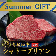御中元 内祝い 誕生日 お祝い 【和牛 シャトーブリアン ヒレステーキA5 鳥取和牛 2枚】(280g）ステーキ …