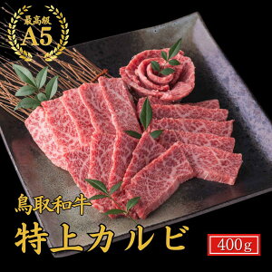 Ε  ~Mtg a j ja ēyA5 a Jr 400gzјa A5N  Jr Opo ē ē MtgΉ a   A5  ē 