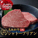 バレンタイン 当日発送 内祝い 誕生日 ゴルフコンペ お祝い 【和牛 シャトーブリアン ヒレステーキA5 鳥取和牛 2枚】(…