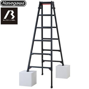 [RYZB-18a] ͂pr RYZB 6i JH ͂Er ubN[xV[Y őgpʁF100kg ^b`o[ A~ Vg[` ubN yzyʔzzy