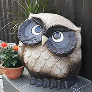 y11420Jn|Cg15{zyz17񂩂ӂ낤()!My  ӂ낤u tNE MyĂ tNEu ӂ낤 炫₫  ₫ N Mt