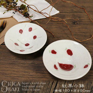 yubNtCf[15%OFFN[|zzzMy  ی^ 15cm  t M `G M ϕM {E fU[gM [Og  ۔ aH  Jbv T_