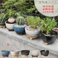 信楽焼 植木鉢 陶器 おしゃれ 山草鉢 フラワーポット サボテン鉢 多肉鉢 プランター 国産 鉢植え 盆栽鉢 …