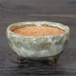 y11420Jn|Cg15{zR ̓Aؔ R쑐 My R  炫 픫 A ₫ MyĔ Â A 򍪐A sa-0353