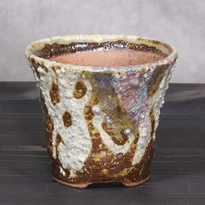 山草鉢 手作りの陶器植木鉢 山野草鉢 信楽焼 山草 鉢 しがらき 陶器鉢 植木 やきもの 信楽焼鉢 手づくり 多肉植物 塊根植物 sa-0363