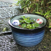 楽天市場】火鉢 めだか（種類（植木鉢）睡蓮鉢）の通販