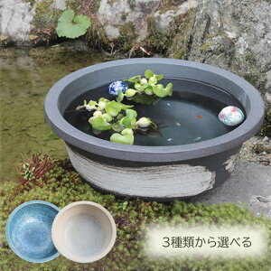 【10月24日20時開始ポイント10倍】魚好きがこだわったメダカ鉢!水鉢 すいれん鉢 信楽焼すいれん鉢 メダカ鉢 金魚鉢 睡蓮鉢 陶器スイレン鉢 ハス鉢 はす鉢 めだか鉢 鉢 陶器 水連鉢 水鉢 信楽