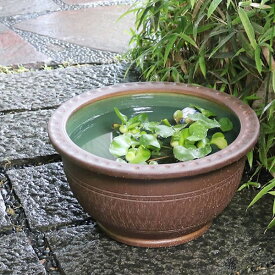 楽天市場 大きい 金魚鉢の通販 楽天市場 大きい 金魚鉢の通販