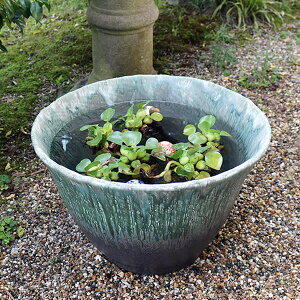 y11111%OFFN[|z  MyĂ _JA ɂœK @ XC nX ͂ ߂   A  MyĂ@ 萅 