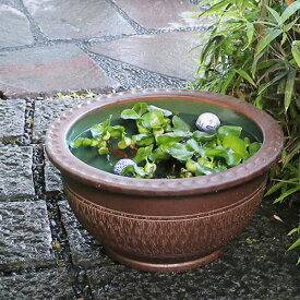 楽天市場 大きい 金魚鉢の通販