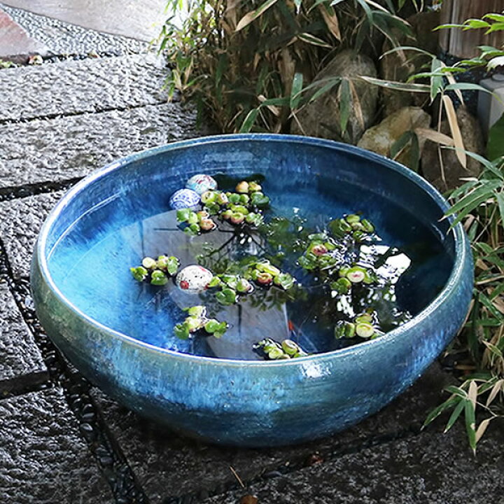 楽天市場】スイレン鉢 大型 陶器水鉢 信楽焼 水鉢 鉢 金魚鉢 めだか鉢  