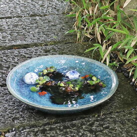 楽天市場 メダカ 鉢 植木鉢 プランター ガーデニング 農業 花 ガーデン Diyの通販