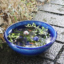 楽天市場】ガラス 花瓶（種類（植木鉢）睡蓮鉢）（花・ガーデン・DIY 