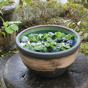 yubNtCf[15%OFFN[|zzz15͂ڐ  MyĂ _J  @ XC nX ͂ ߂   A  MyĂ