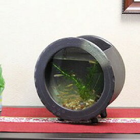 楽天市場 メダカ鉢 ガラス 熱帯魚 アクアリウム ペット ペットグッズ の通販