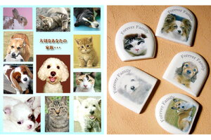 yybgʐ^ziΑȂ^Cvj Vɗybgȋzo zoƋɂ܂łFȂtHgZ~bNXʐ^ ybgtH[Go[ t@~[