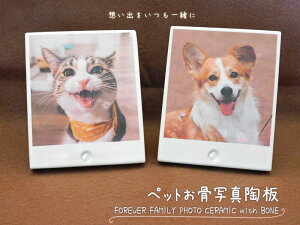 ̎q̎vo ybg{̂߂̂ƈ̂ɂȂʐ^łB tHgZ[ pc1 110×90×13mm ؂ȑzoiɁBF򂹂邱ƂȂA茳{Bʐ^@