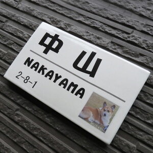 yybgʐ^蓩\Dzybg`hbO P1 TCYF120×200×7mm@̃ybg̎ʐ^Ă񂾁AȂ̕\DłB@\D ˌ ^C  @\DVbv 