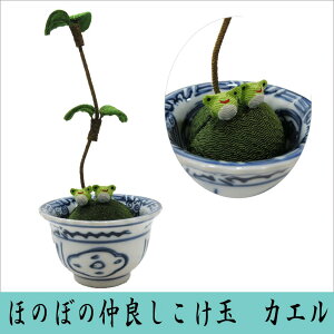 ق̂ڂ̒ǂ JG Փ ERhE ߂׍H {  ^ 