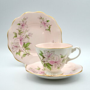 Be[W gI eB[Jbv\[T[ Foley China tH[`Ci E.Brain & Co Ltd AUA CMX 1948-1963N AeB[N Lb` BG e[uEFA H eB[Zbg 