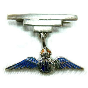 AeB[N WG[ u[` Vo[ Gi WW2 RAF CGAtH[X CMX Be[W t@bV BG ANZT[ g p R ~^[