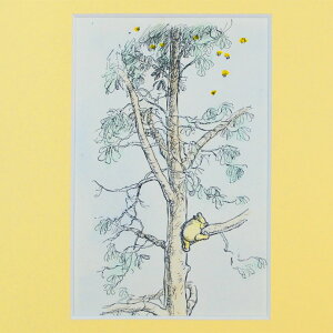 AeB[N zG Winnie the Pooh N}̃v[ ؓo nhJ[ E.H.VFp[h A.A.~ Be[W CeA BG Ǌ| A[g G{ }G t[t