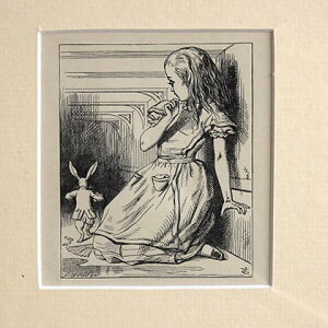 AeB[N zG Alice in the wonderland svc̍̃AX AXƔ CXL Be[W CeA BG Ǌ| A[g  }G t[t