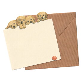 英国製 グリーティングカード 5枚入り 封筒つき 犬 ラブラドール Pencil Point 輸入 ステーショナリー 文房具 手紙 多目的 かわいい メール便OK