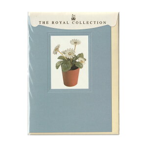 英国製 グリーティングカード ザ・ロイヤルコレクション Field Daisies 封筒つき 輸入 文房具 手紙 多目的 大人 おしゃれ 花柄 メール便OK